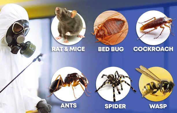 Vijaya Dental Clinic