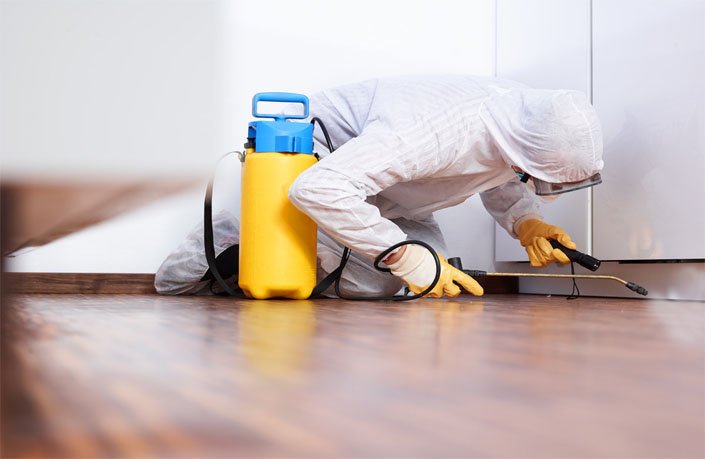 Commercial Pest Control Service in Chennai